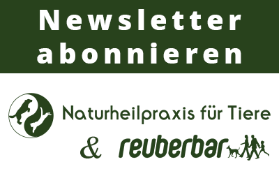 newsletter banner